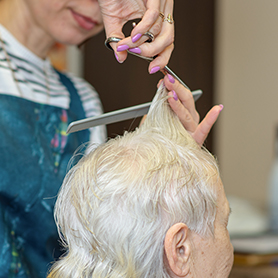 older adult getting haircut